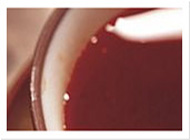 在线手机号接收